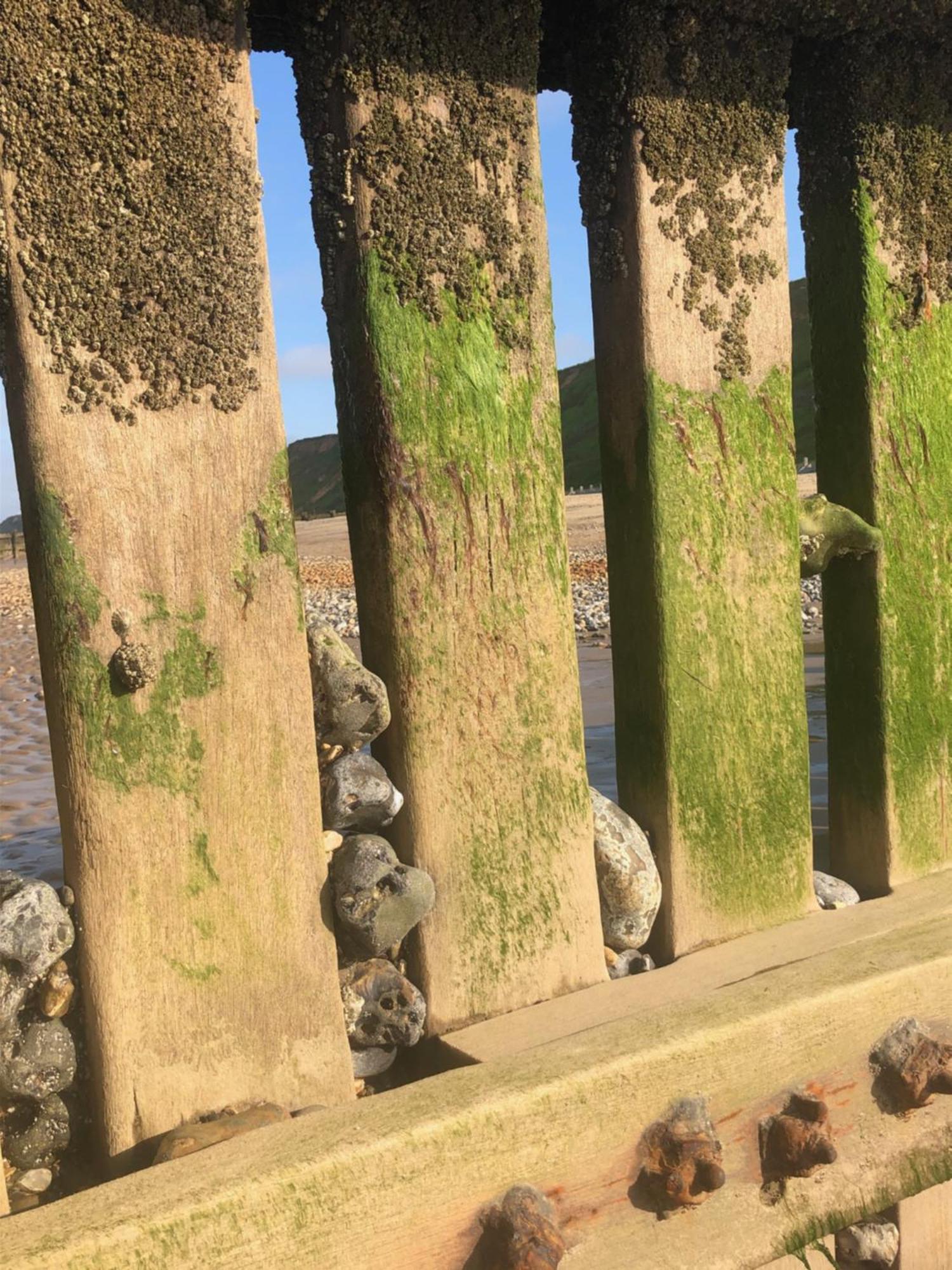 Family Friendly Tower House, Mundesley, 100Yrds From Sandy Beach 外观 照片